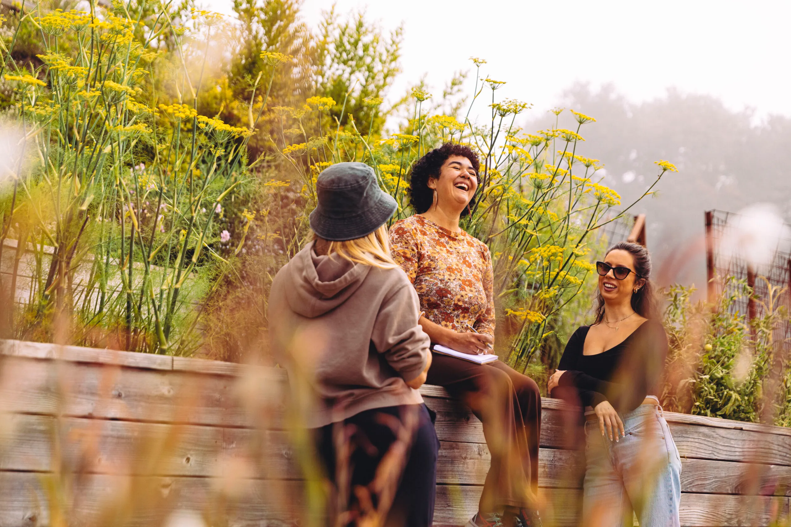 Nature's Muse: A Poetic Journey in Big Sur