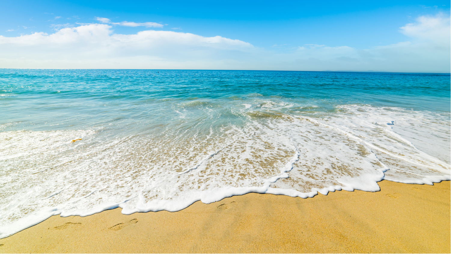 the ocean waves on the shore