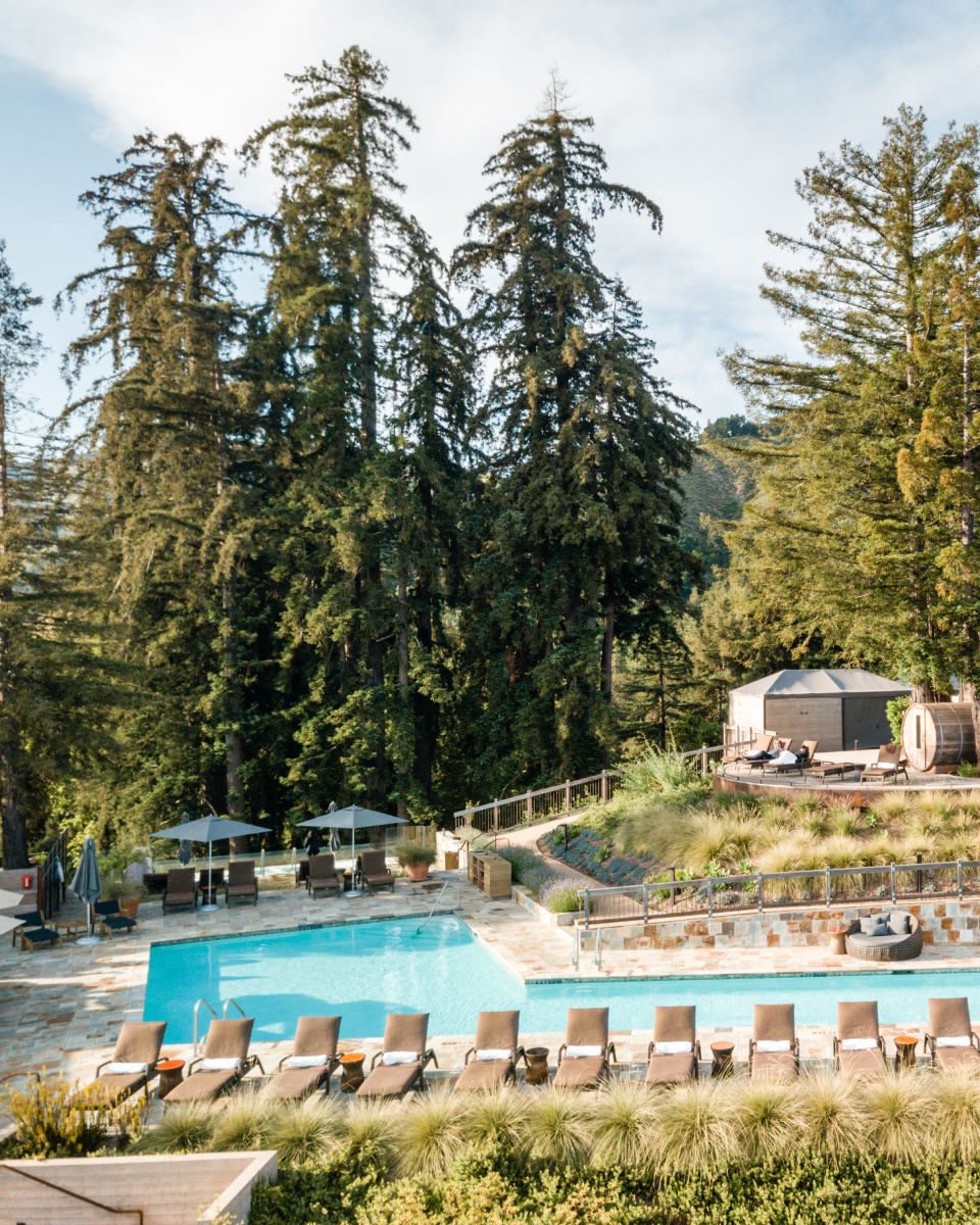 views of pool and forest