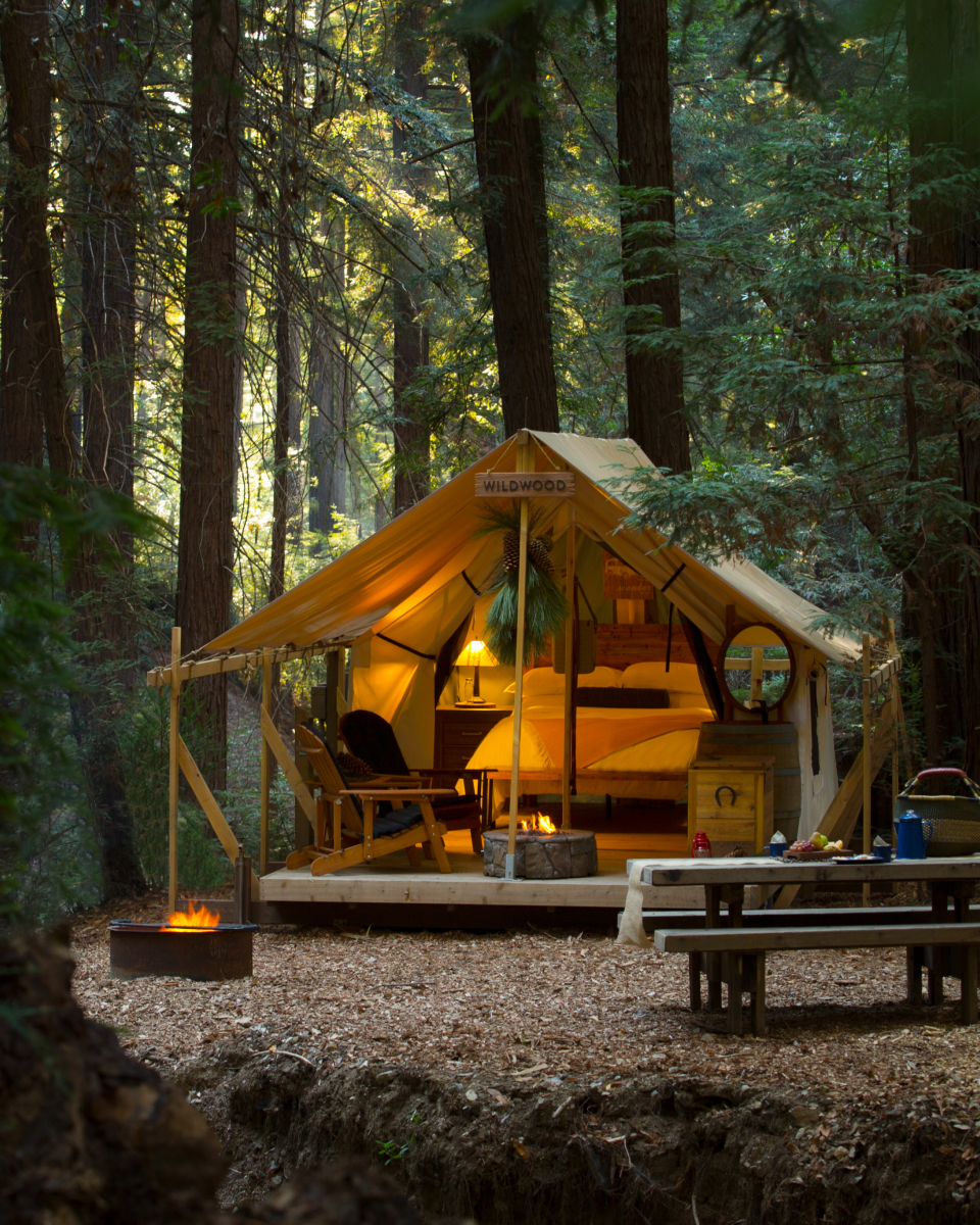 glamping in forest