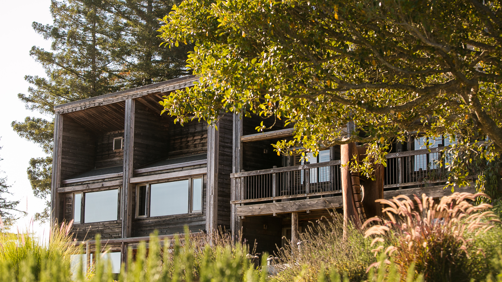 wooden building with trees in the surroundings