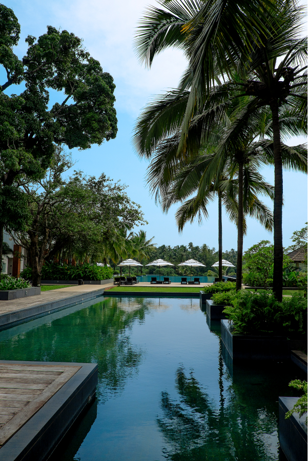 poolside with lawn chairs and palm trees