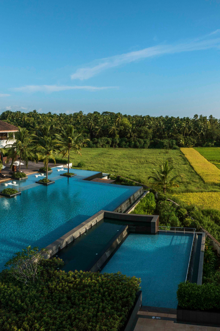 hotel pool with green fields and trees in the background