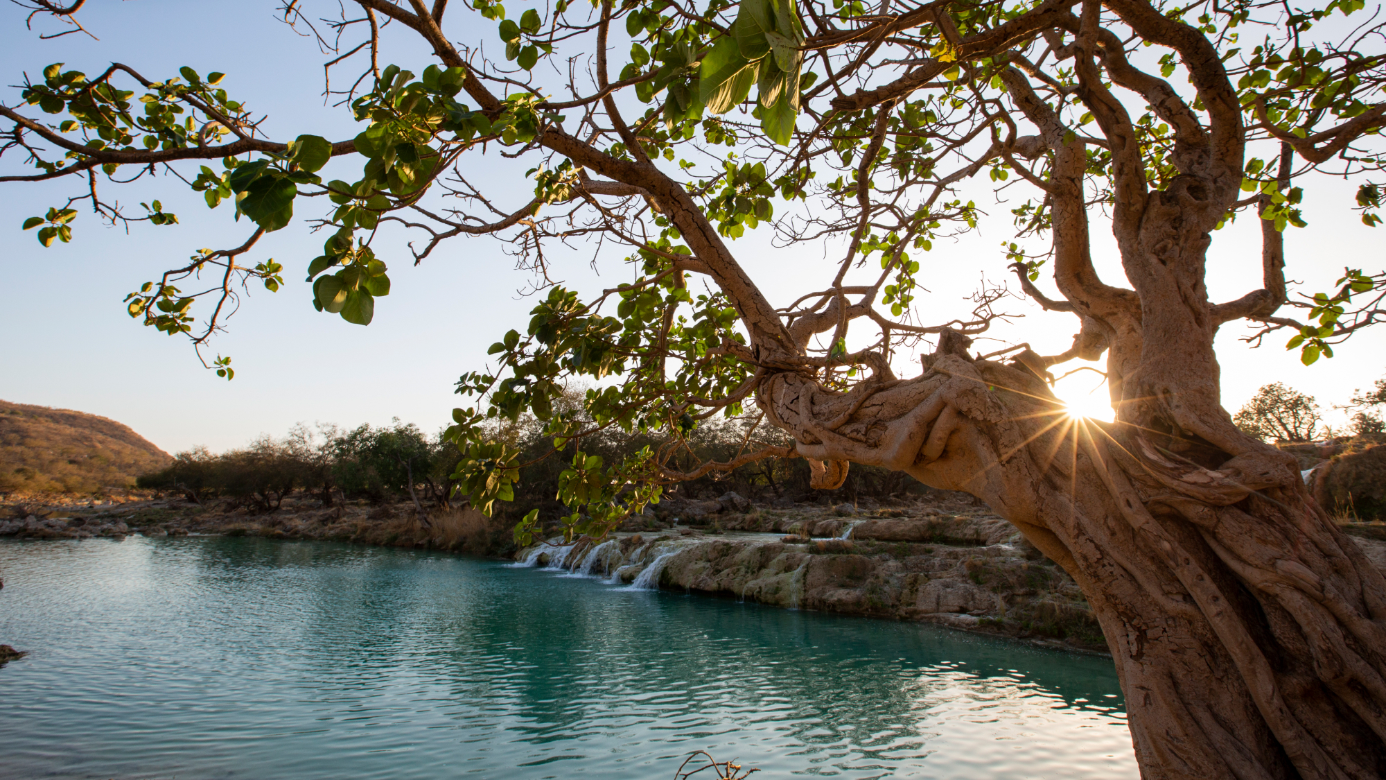 View of water the lagoon and trees