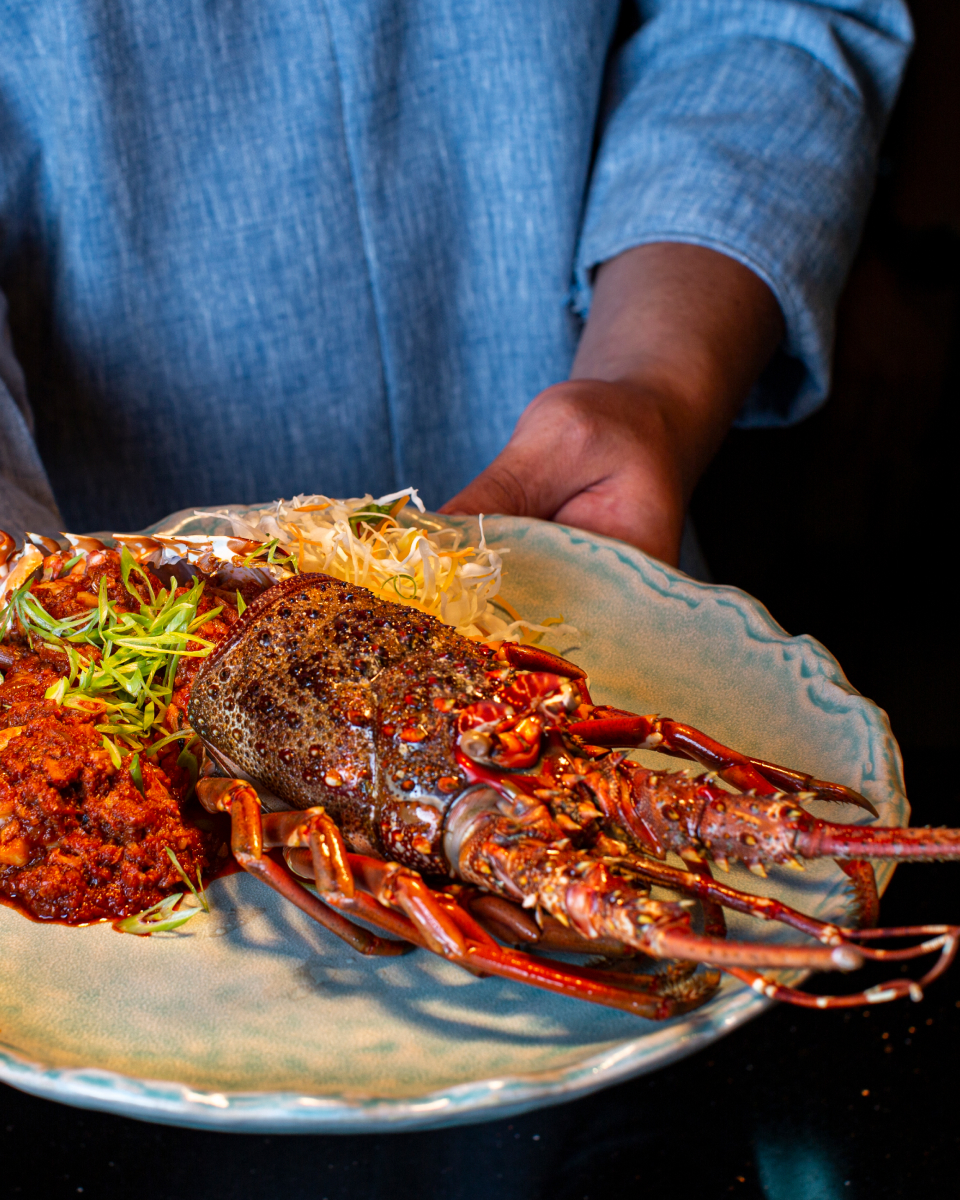 lobster served at the Seasalt