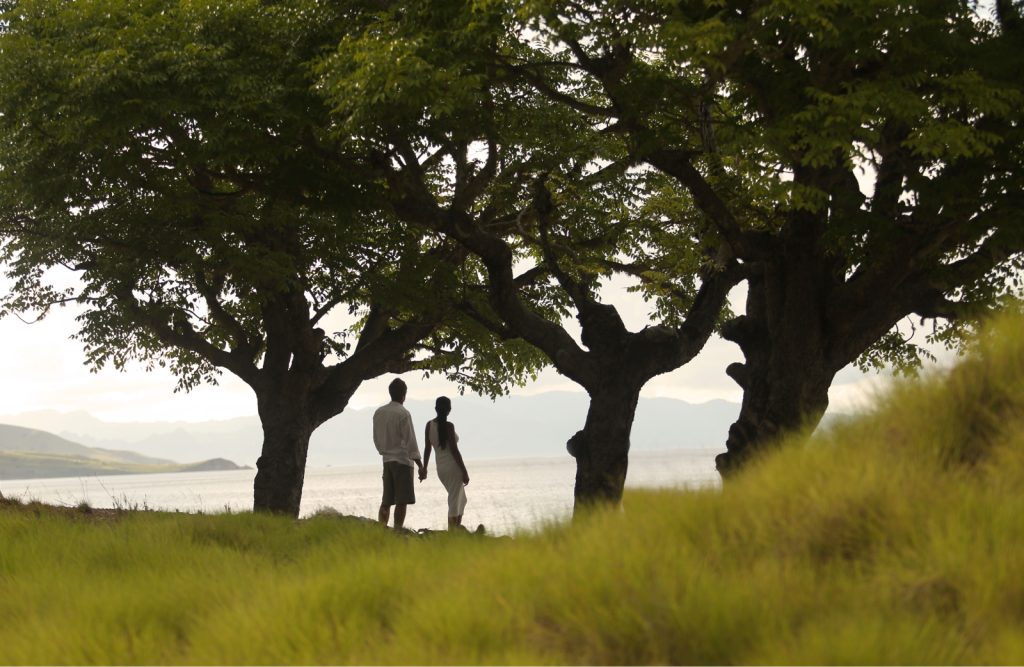 Couple standing on beach under trees.