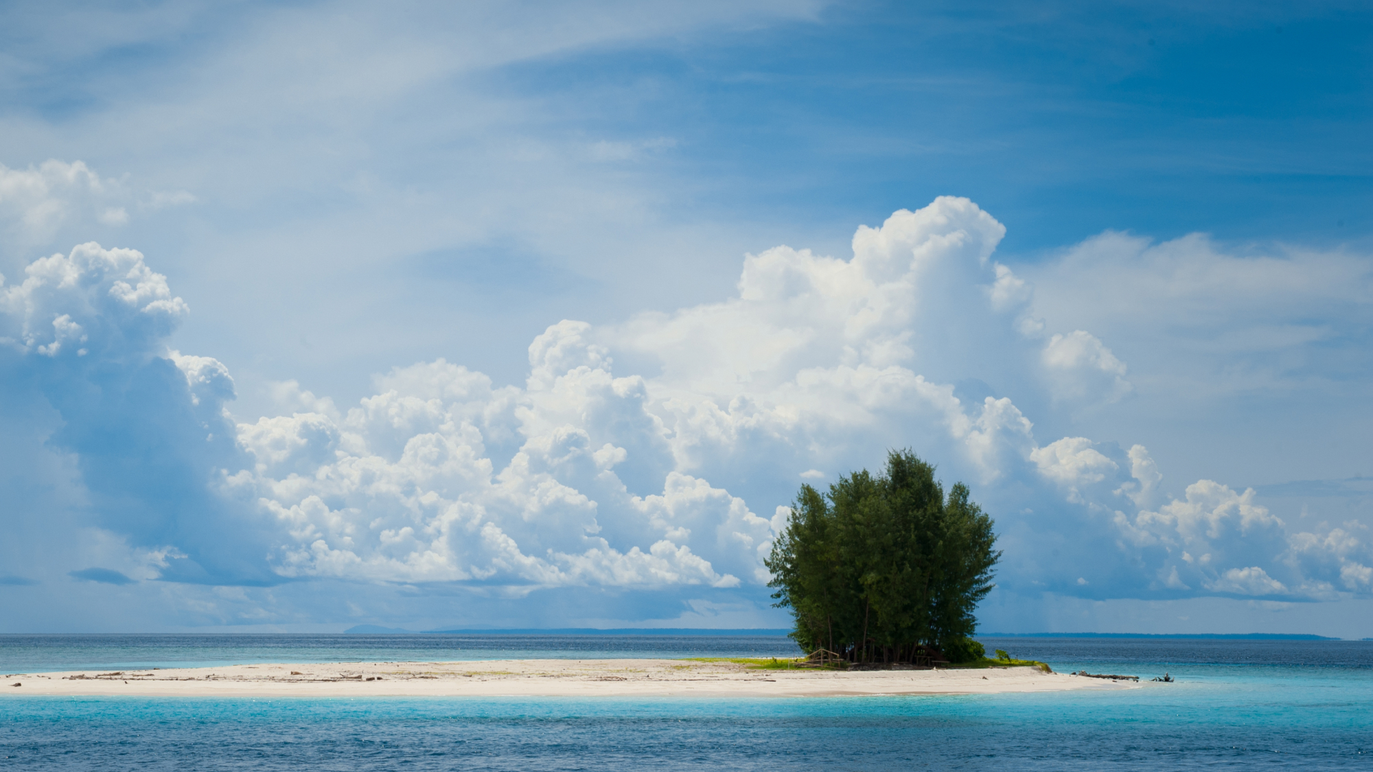 Single tree on a sandbar surrounded by ocean and clouds