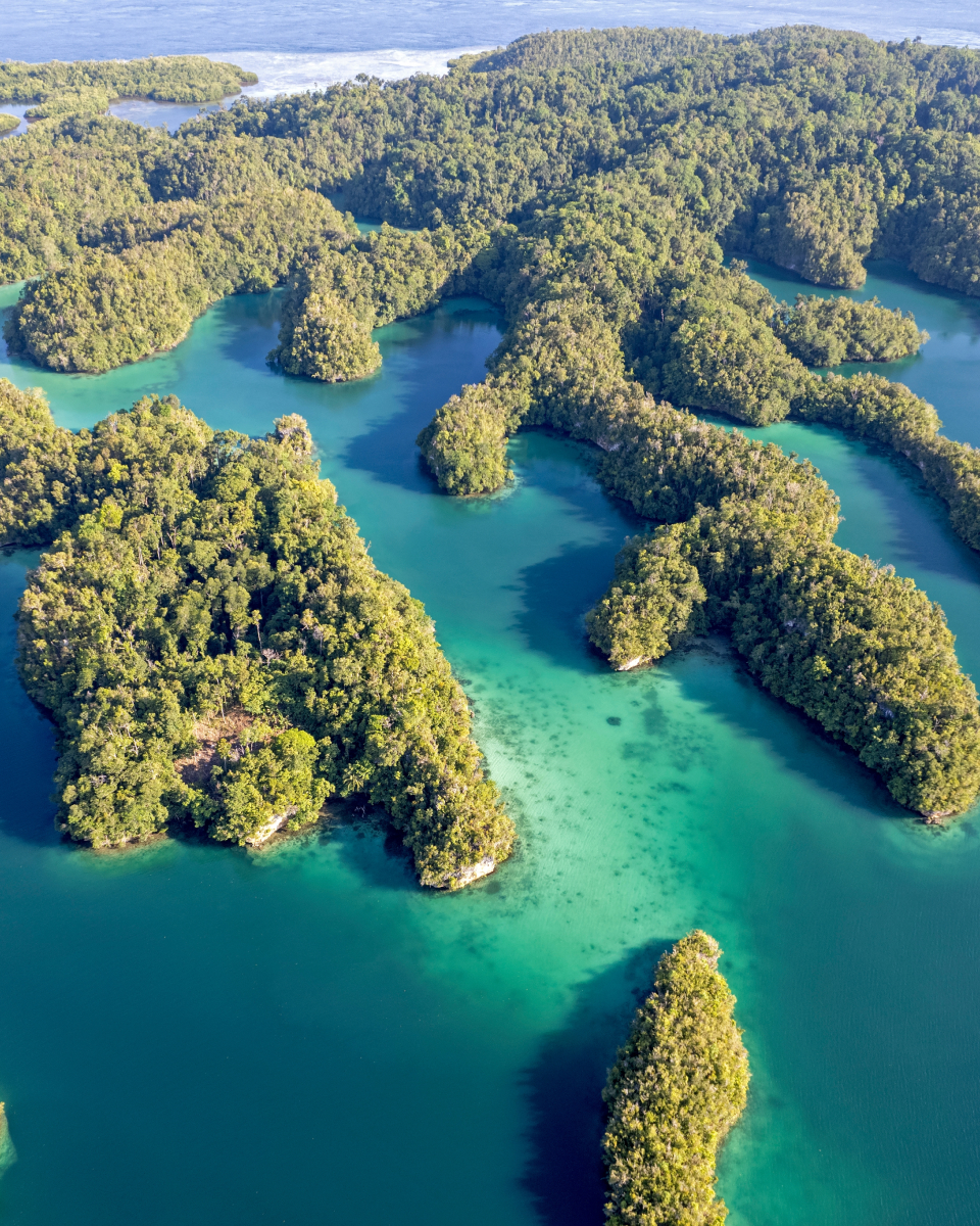 Unique landscape of Raja Ampat from above