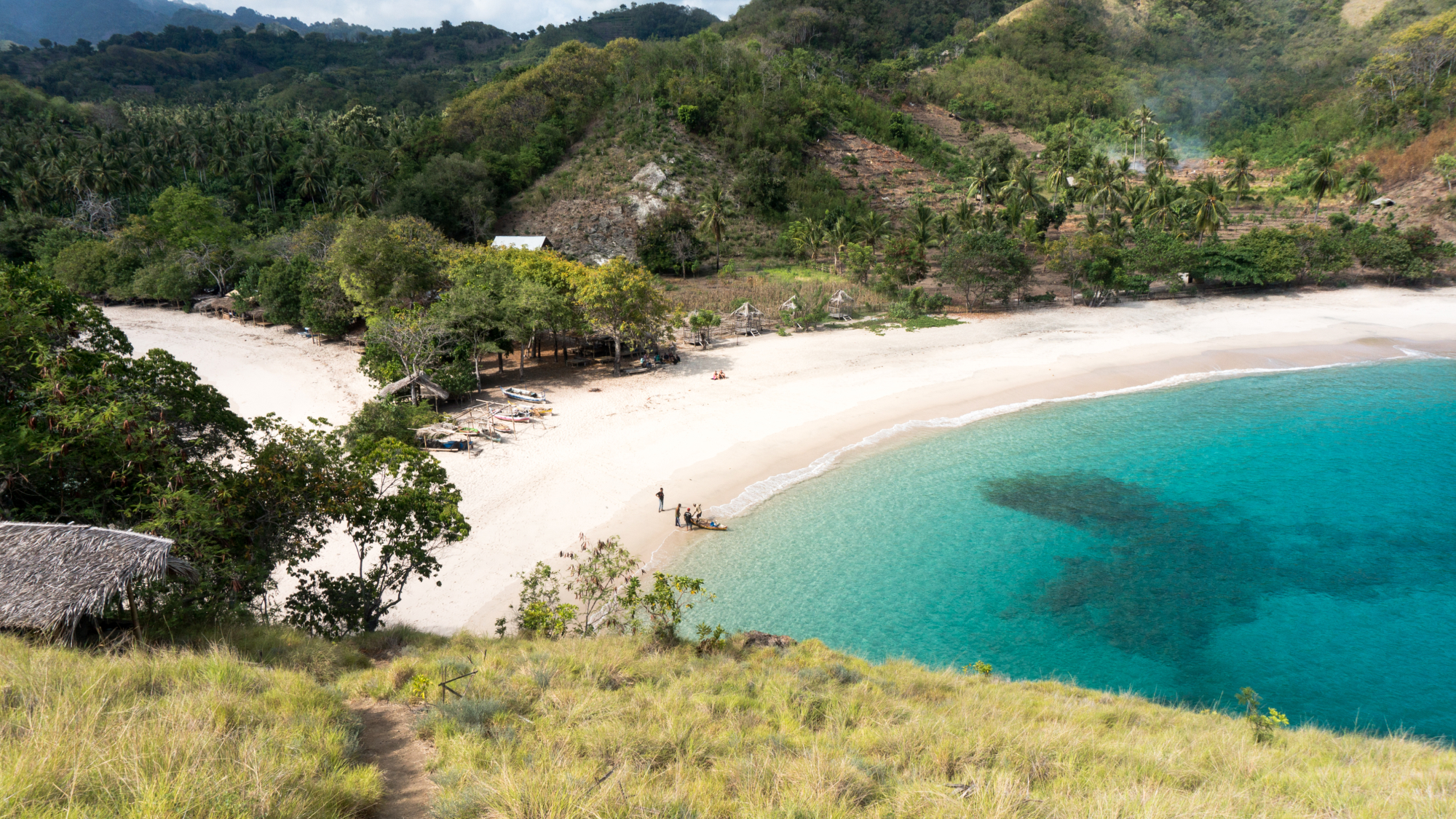 curved shoreline with lush greenery and blue water