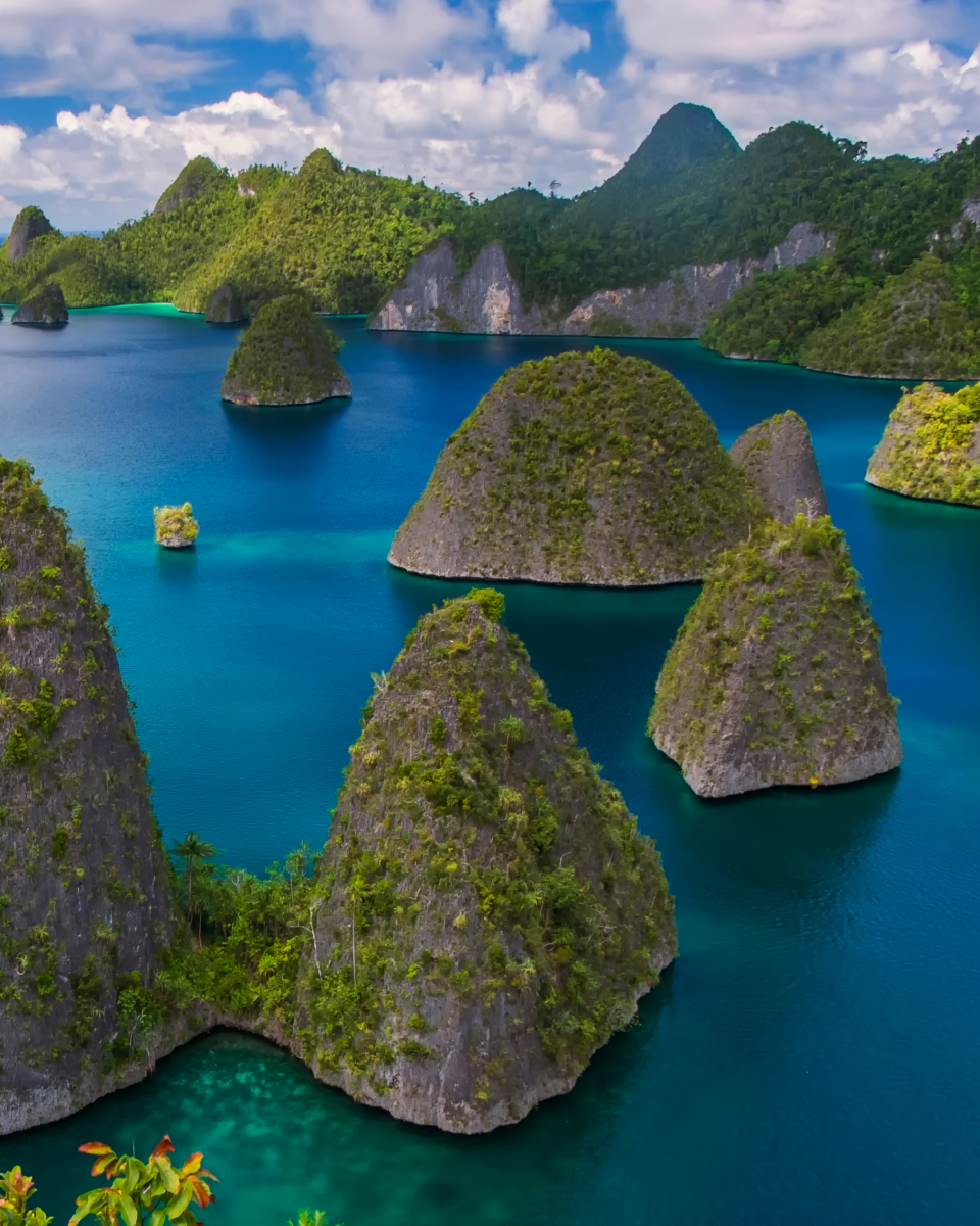 Rocks covered in lush greenery sticking out of the water